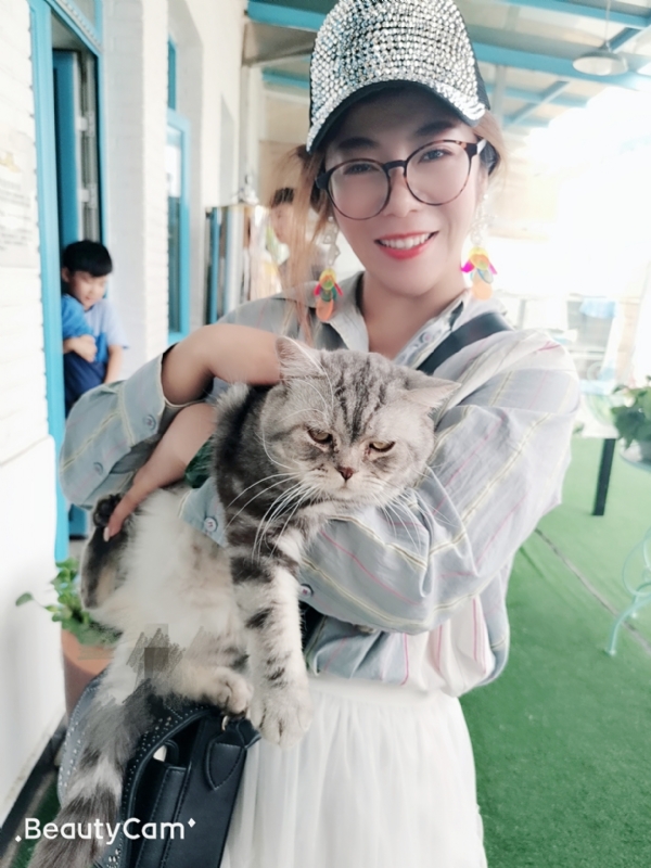 小黑猫的第一张照片--太原相亲服务中心