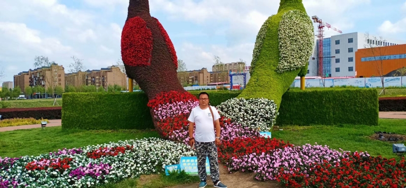 尘埃的第一张照片--太原相亲服务中心