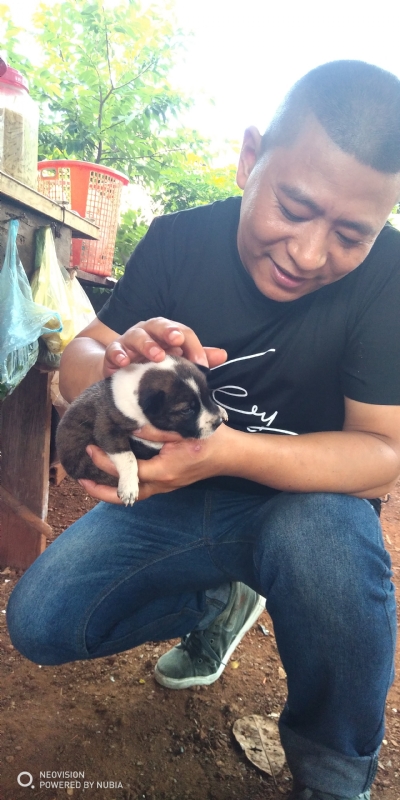 深圳相亲的第一张照片--太原相亲服务中心