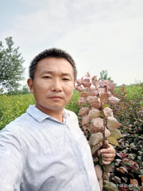 孩子爸的第二张照片--太原相亲服务中心