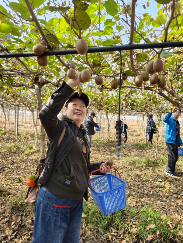 夜莺的第四张照片--太原相亲服务中心